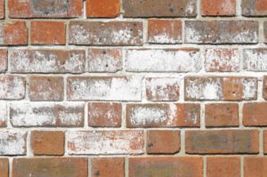 HYGROSCOPIC AND DELIQUESCENT SALTS Damp Surveys Glasgow Penetrating Damp, efflorescence salts on surface of brick wall
